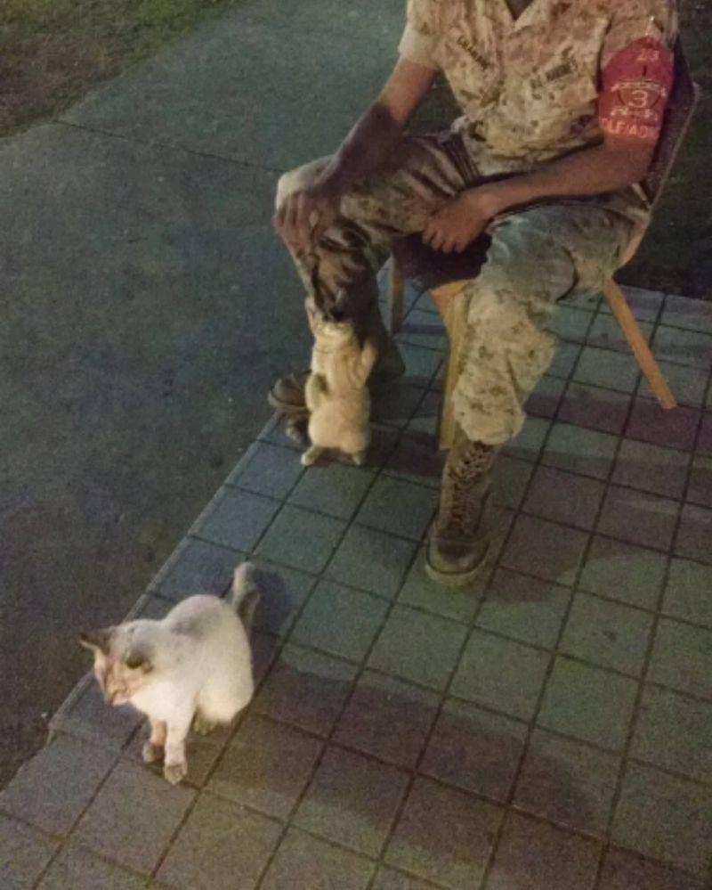 reddit.com/spice-e_chicken_poo